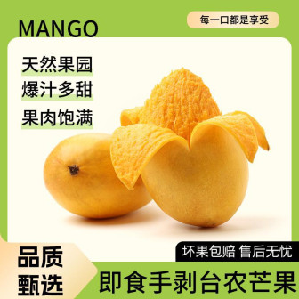 产地云南即食手剥花皮小台芒小芒果当季新鲜水果孕妇水果无需催熟