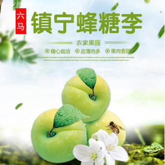 贵州六马蜂糖李皮薄肉多脱骨果肉香甜应季孕妇水果产地果园直发